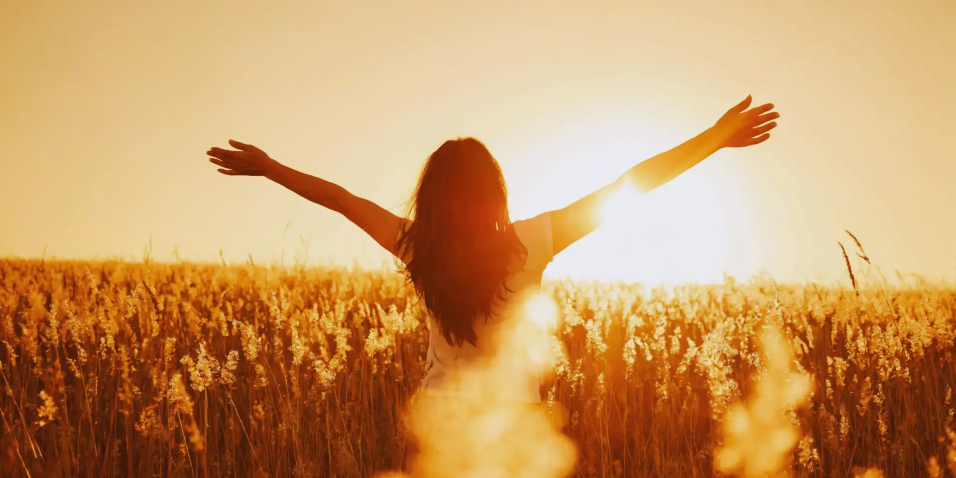 Donna di spalle con le braccia aperte in un campo al tramonto